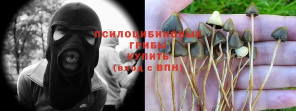 таблы Алексин
