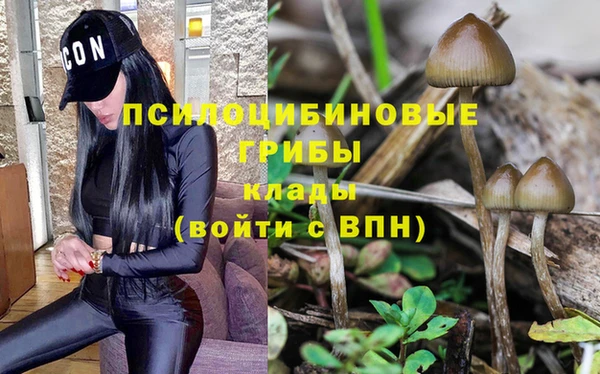 таблы Алексин
