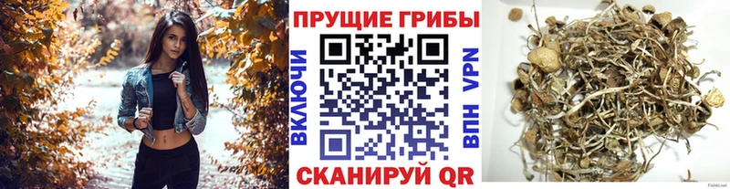 блэк спрут зеркало  Грязи  Галлюциногенные грибы мухоморы  что такое наркотик 